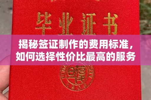 山上揭秘签证制作的费用标准，如何选择性价比最高的服务？