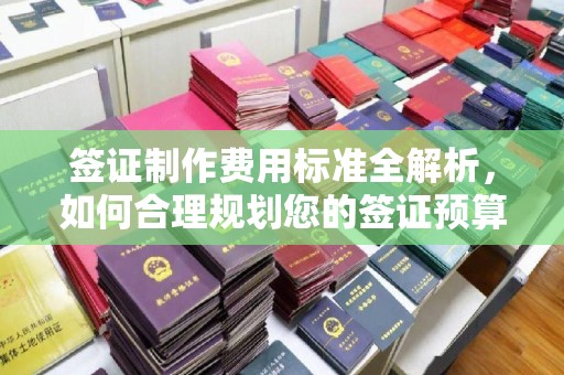 山上签证制作费用标准全解析，如何合理规划您的签证预算？